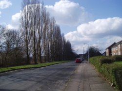 Torrington Drive, Debden, Loughton, Essex.