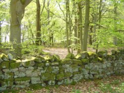 Photo taken on Beacon Hill near Morpeth.