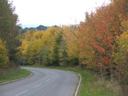 Autum, Ford Street, Wellington, Somerset