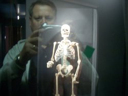 A picture of Cheddar Caves and Gorge Wallpaper