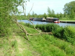 River Trent, Wychnor, Staffordshire