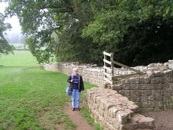 Hadrian's Wall at Brunton Turret, Northumberland Wallpaper
