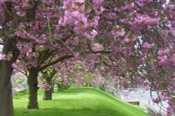 Canterbury in the spring. Kent Wallpaper