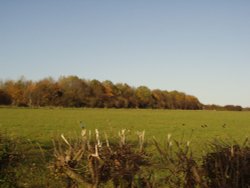 Near Welby church looking towards Ab Kettleby, Leicestershire. Wallpaper
