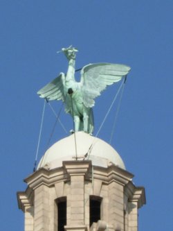 A picture of Liverpool