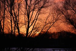 early winter evening, Kingsbury water park, North Warwickshire. Wallpaper