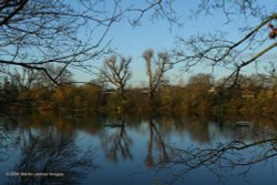 London River Thames, Leg o' Mutton Nature Reserve, Barnes, in early winter light. Wallpaper