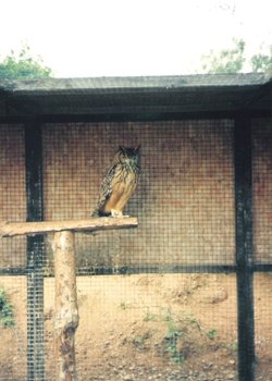 A picture of Wetlands Waterfoul Reserve
