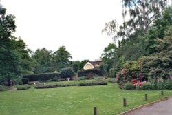 Richmond Park, Richmond upon Thames, Greater London. Wallpaper