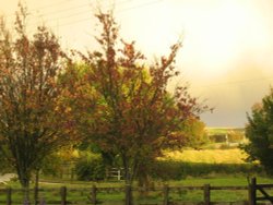 Yelden (Yielden) - After the Storm October 2004
