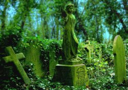 Highgate Cemetery.
