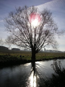 The Wilts & Berks canal at Swindon