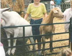 White Post Farm Park
Close to Farnsfield Notts
In with the goats 1990 Wallpaper