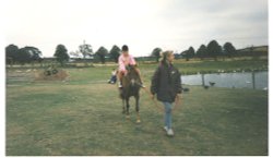 White Post Farm Park, Close to Farnsfield, Notts. Horse riding in 1990 Wallpaper