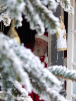 A picture of The Natural History Museum