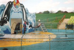 Pleasure Island Theme Park, Cleethorpes, Lincolnshire. Seal display in 1994.