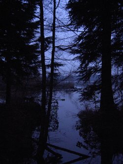 A picture of Delamere Forest Park