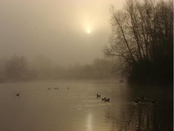 Mill farm, Kirkby, Merseyside. Wallpaper