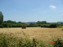 Summertime! East Knoyle, Wiltshire. Wallpaper