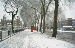 Stamford Hil Wallpaper