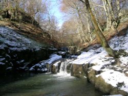 Healey dell, Whitworth, Rochdale Wallpaper