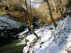 Healey Dell, Whitworth, Lancashire Wallpaper