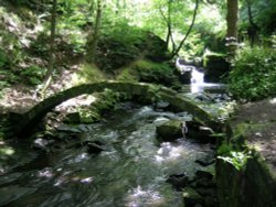 Country walks, Healey Dell, Whitworth, Lancashire Wallpaper