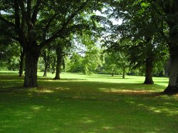 Sandringham Gardens Wallpaper