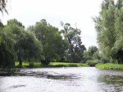 River Cam at Fen Ditton Wallpaper