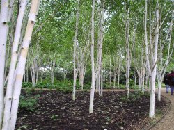 Anglesey Abbey Wallpaper