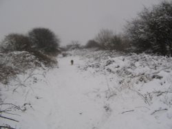 Rear of the firestation in the snow, Millom, Cumbria Wallpaper