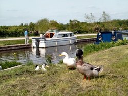 Trent and Mersey Canal, Fradley, Staffordshire Wallpaper