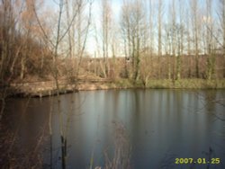 A picture of Reddish Vale Country Park Wallpaper