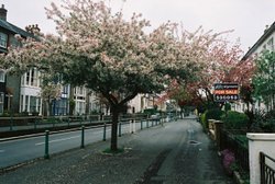 Mall, Newport, Isle of Wight.