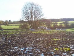 View from Howards Lane, Eccleston, St Helens towards Christ Church.