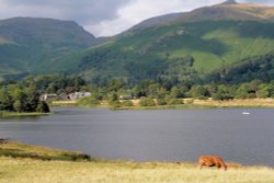 Grasmere, Cumbria Wallpaper