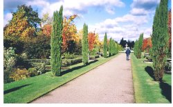 Regent's Park, London Wallpaper