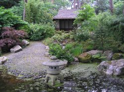 Japanese Garden at Pine Lodge Gardens, St Austell, Cornwall Wallpaper