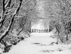 Healey Dell, Whitworth, Greater Manchester.