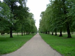 One of the many paths in Kensington Gardens, London, Greater London