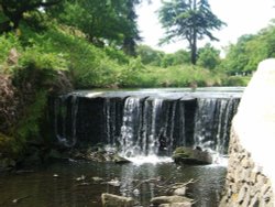Bradgate Park, Leicestershire Wallpaper