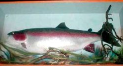 A picture of Ladybower Reservoir Wallpaper