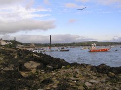Rock, on the Camel estuary opposite Padstow, Cornwall. Wallpaper