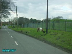 A picture of Gringley on the Hill