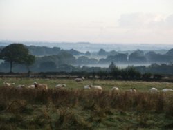Morning mist from the Thelbridge Cross Inn
car park. Devon.