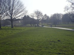 A walk in the park. Knutsford, Cheshire Wallpaper