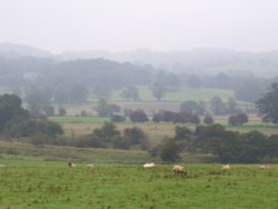 View from Chester's Roman Fort, Chollerford, Northumberland Wallpaper