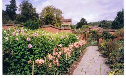 Churchill's Gardens at Chartwell and the wall built by him, Westerham, Kent Wallpaper