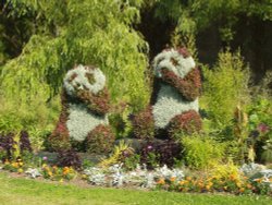 Pandas on the Malpas roundabout in Newport, South Wales in the summer of 2003. Wallpaper