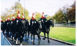The Blues and Royals at Hyde Park Corner, London Wallpaper